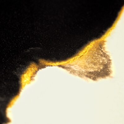 limited-detail1